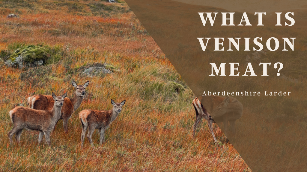 Blog Banner - What is Venison Meat?