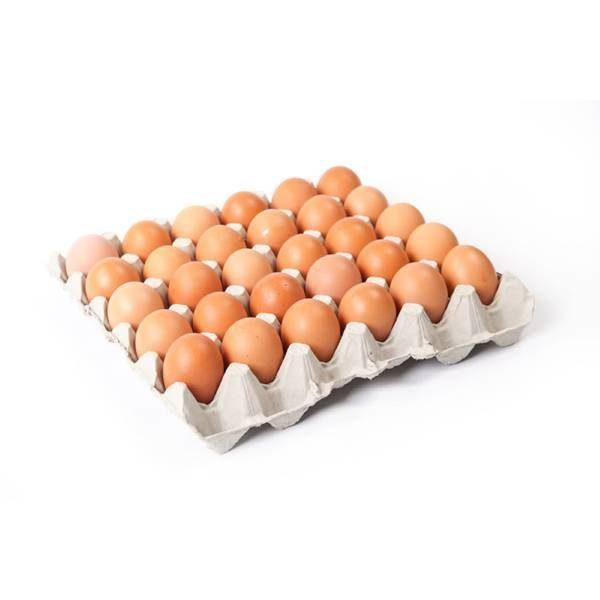 Tray of Chicken Eggs